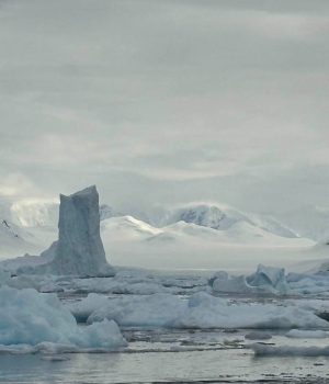 Anisuz Zaman Tour Image 02