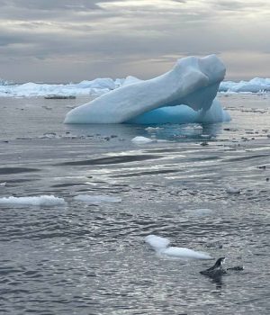 Anisuz Zaman Tour Image 03